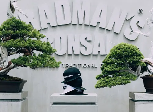 New Era × Bonsai!? The TRADMAN'S BONSAI Collab Is Quietly the Coolest Drop of the Summer
