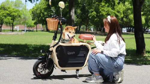 愛犬と“ちょっとそこまで”を叶える電動バイク「Doggie（ドギー）」が最新Ver.3に進化！