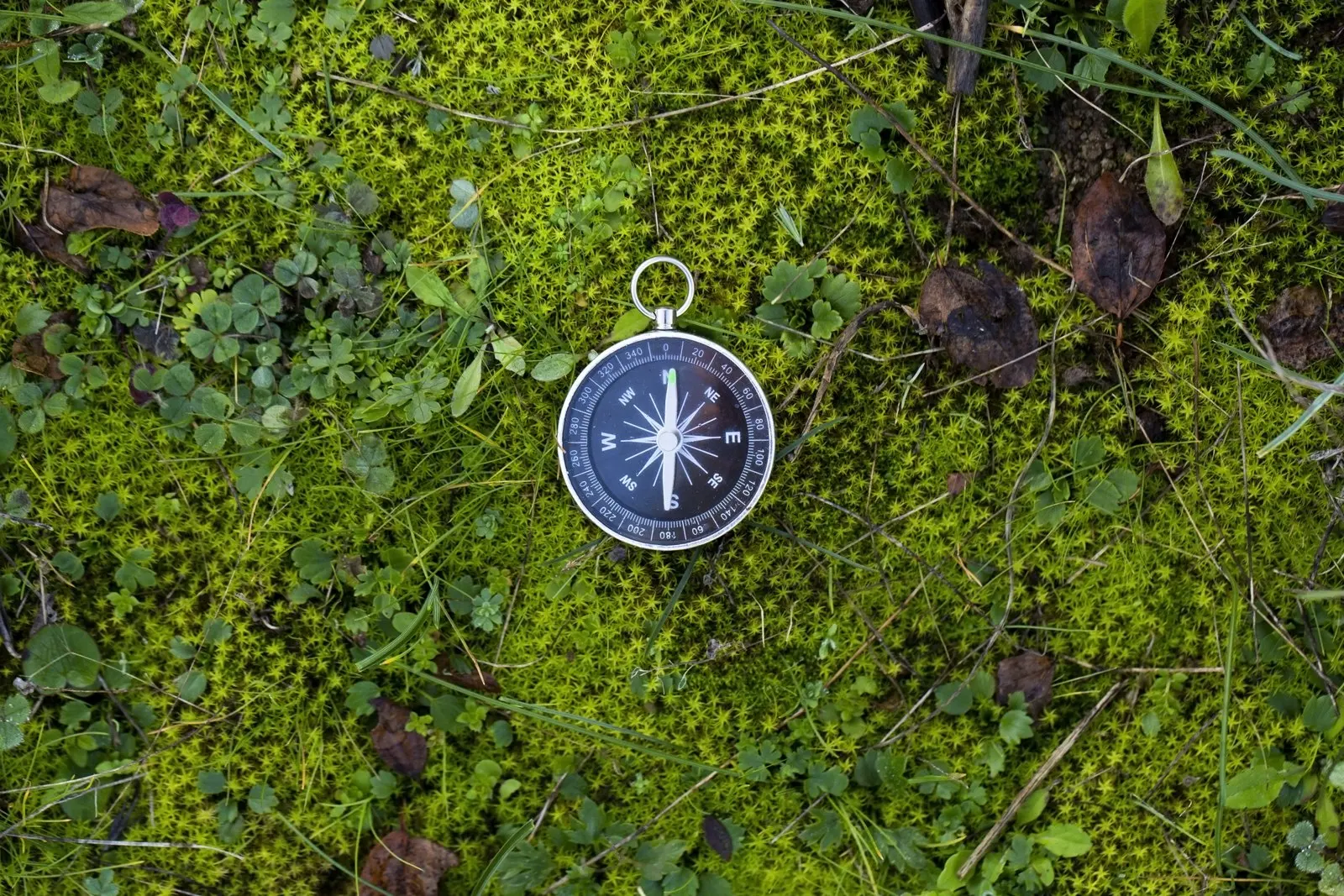 A compass on the forest floor