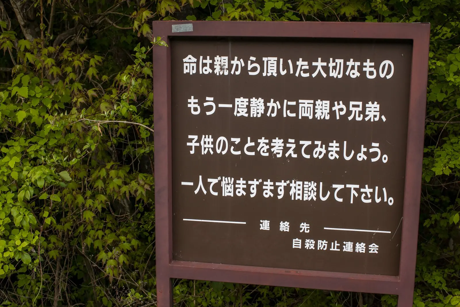 A sign at the forest entrance urging visitors to think of their families