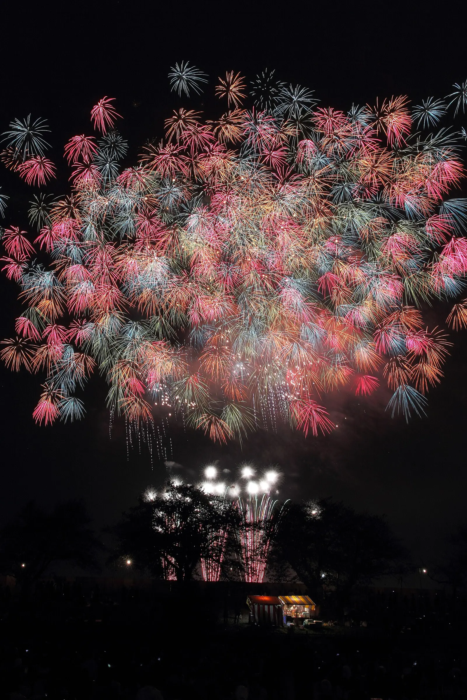 hanabi_tsuchiura.jpg