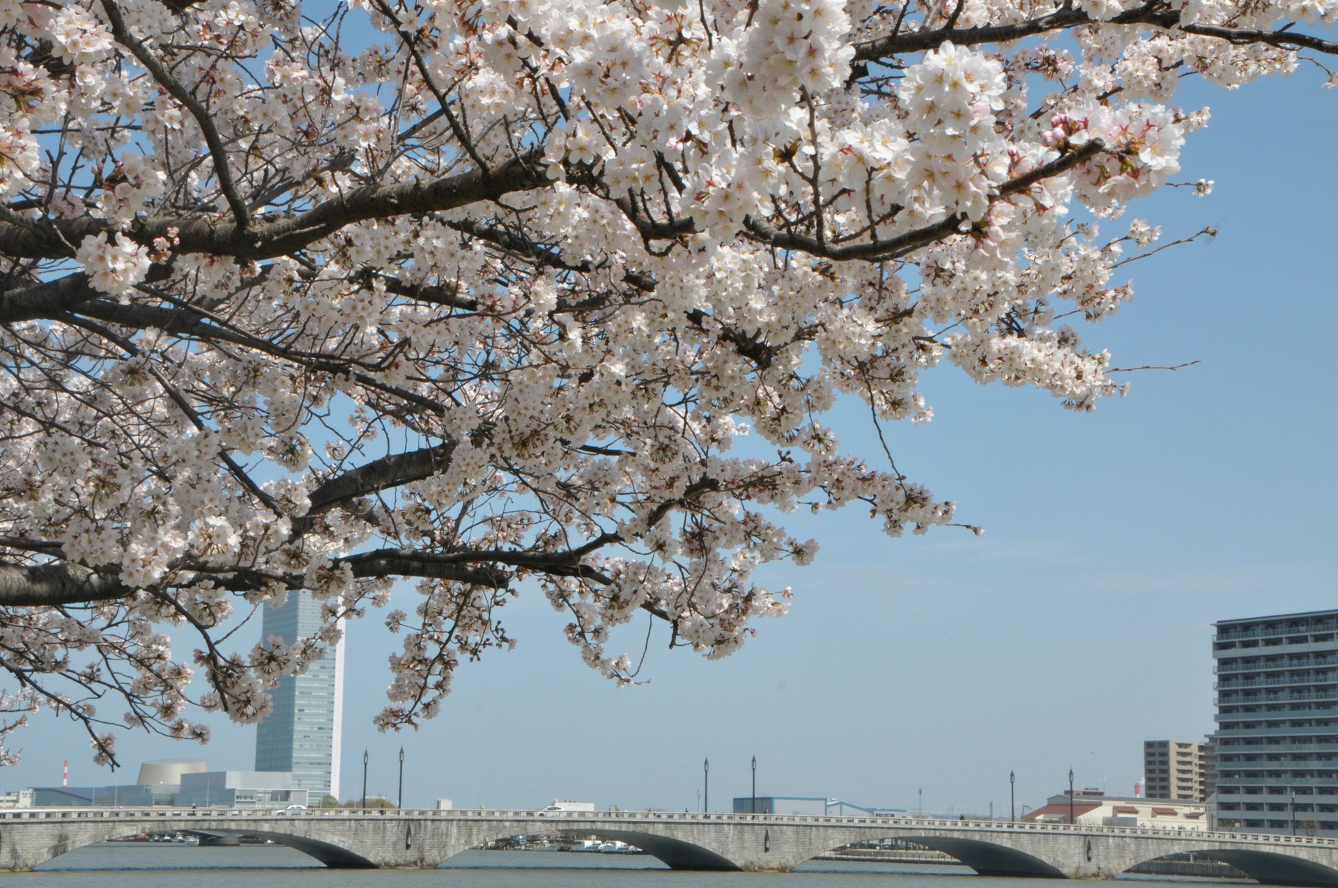 Raw Riverside Bandai Bridge, Chuo, Niigata: Highlights & Access | RAW JAPAN