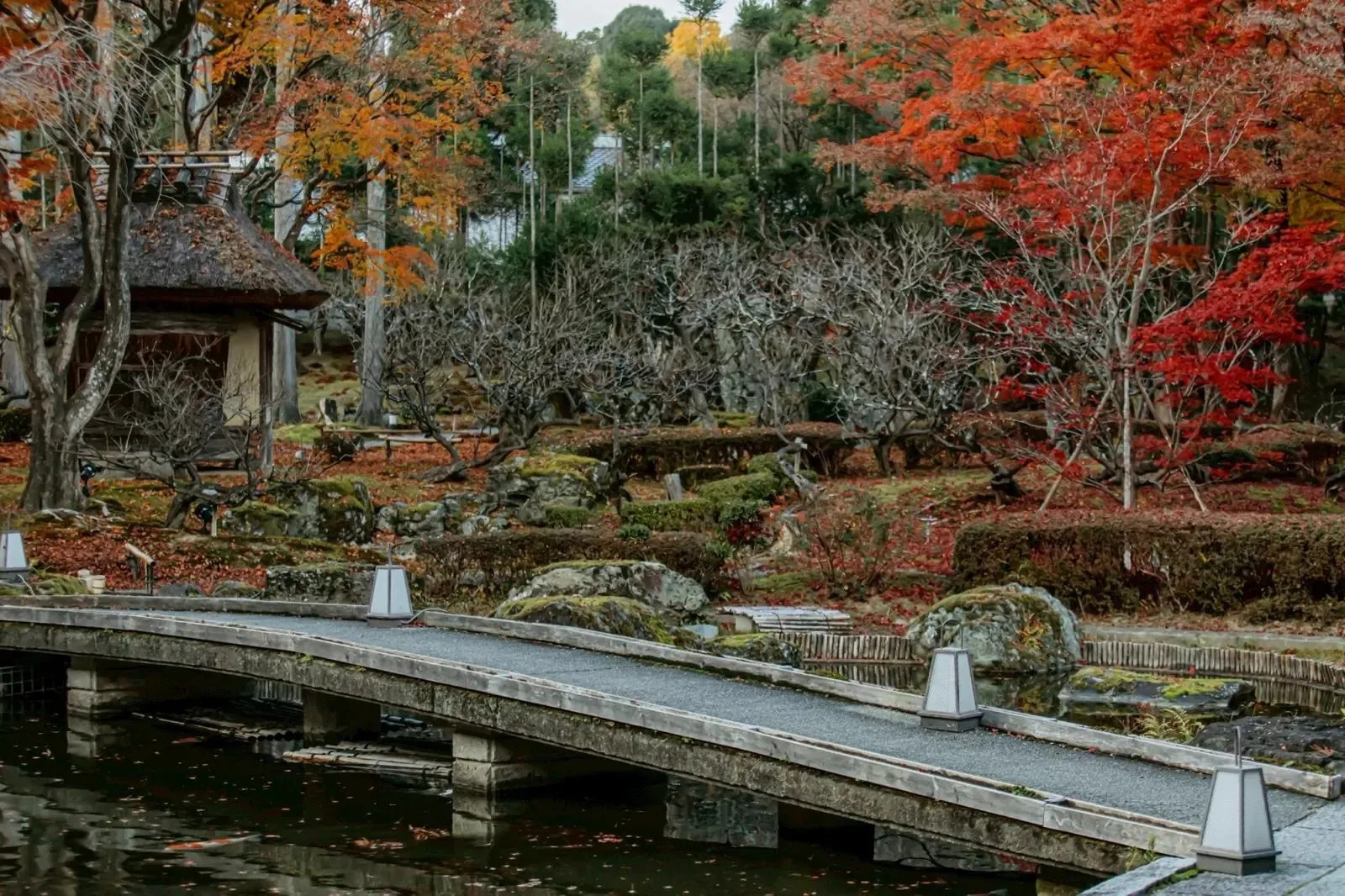 本阿弥光悦ゆかりの京都・鷹峯で工芸の祭典。約30組が集う「MOSS KOGEI