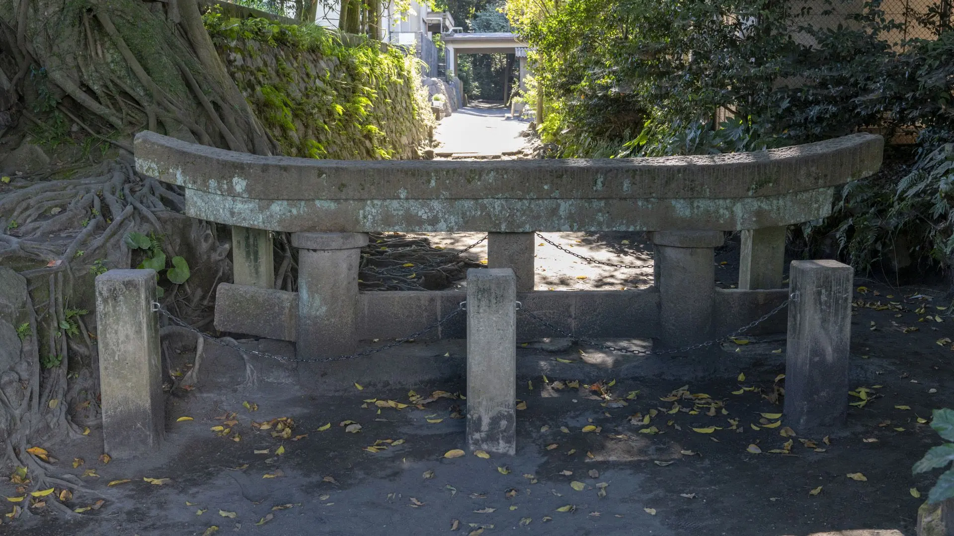 黒神埋没鳥居.jpg