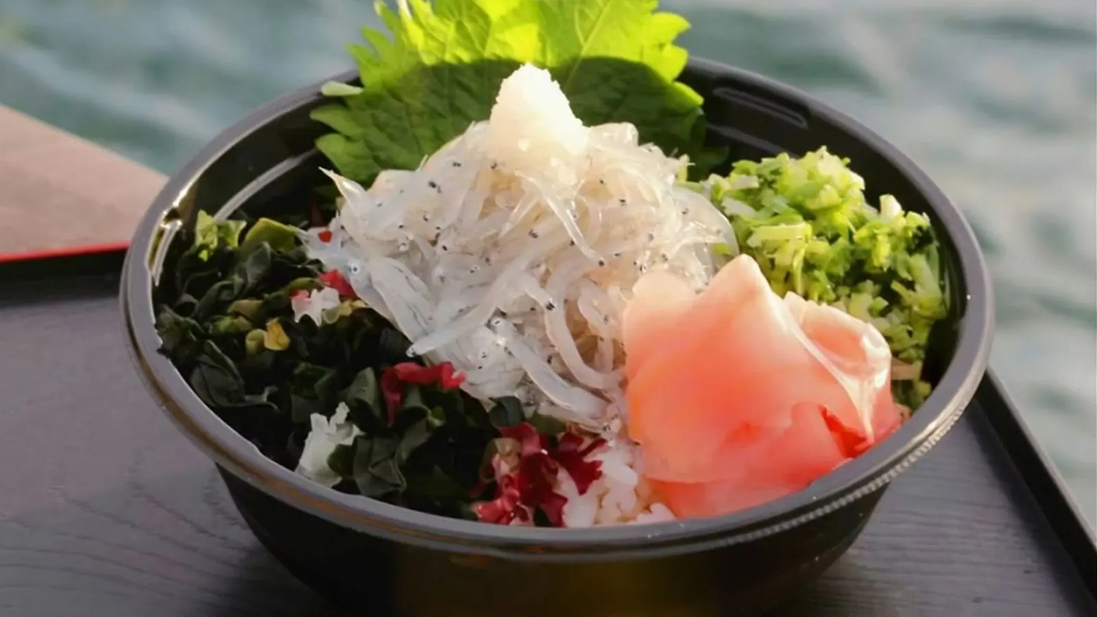 しらすどん.jpg