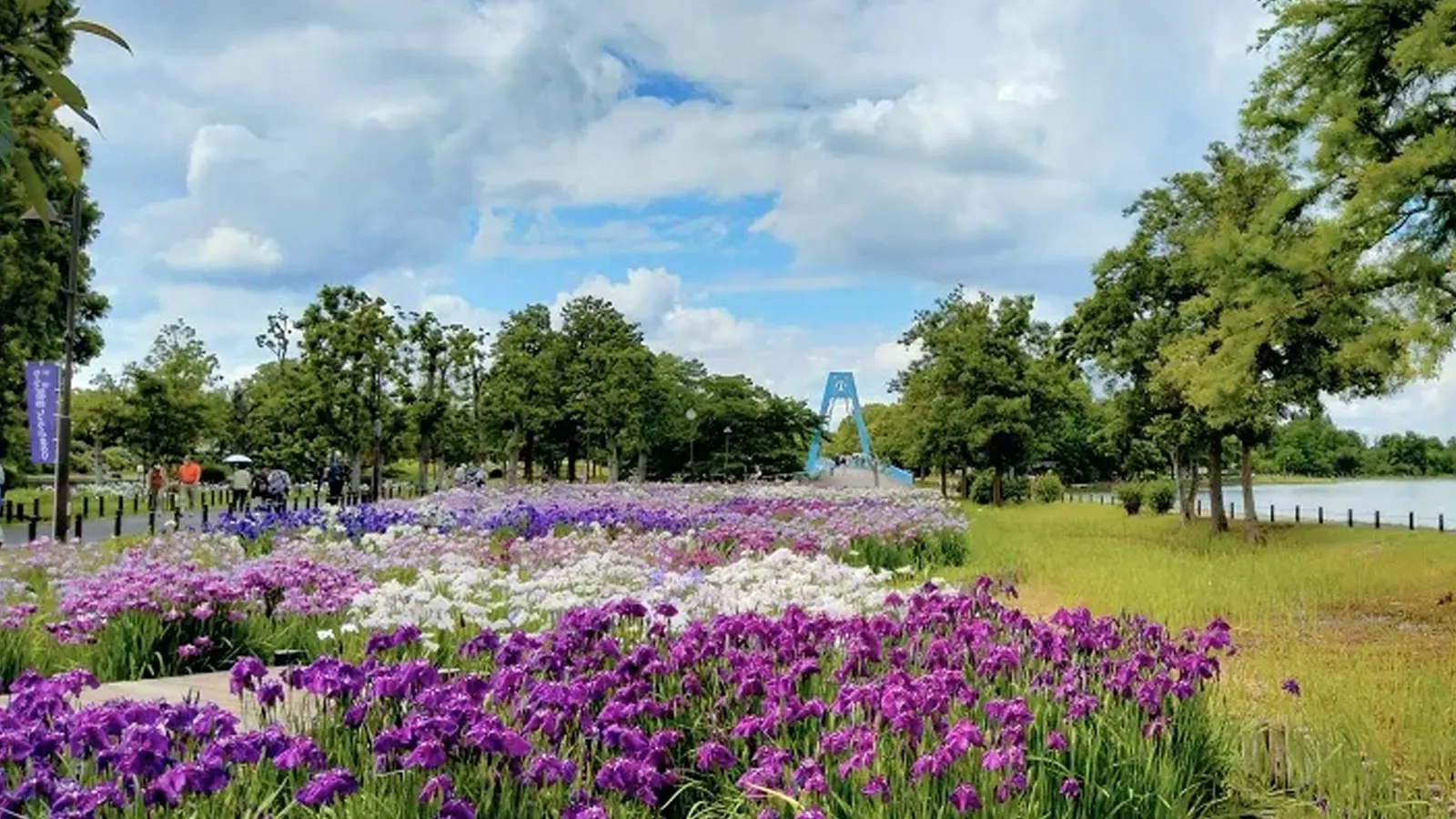 水元公園.jpg