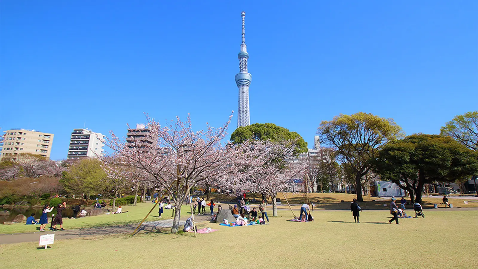 隅田公園.jpg