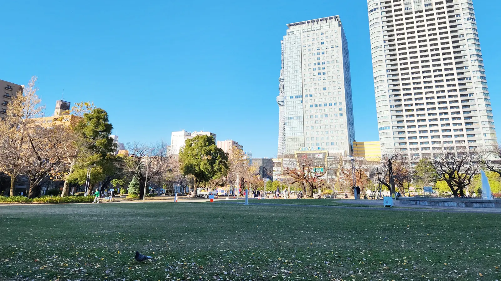 錦糸公園.jpg