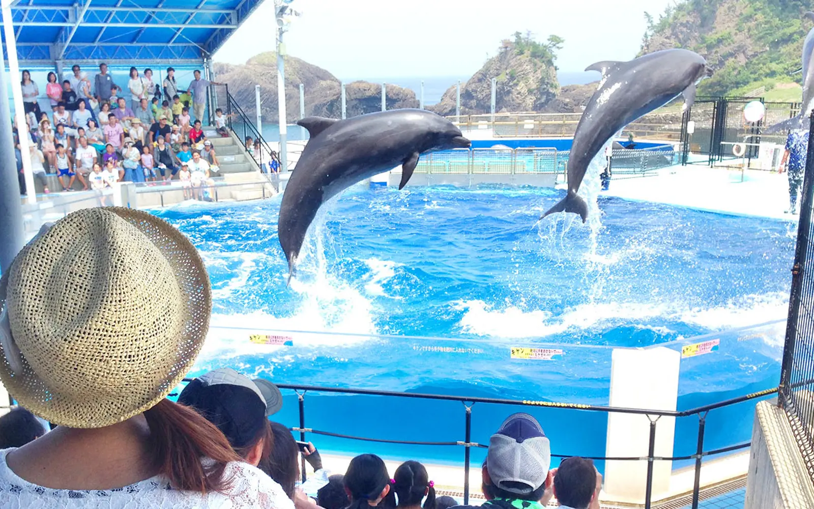 越前松島水族館_01.jpg