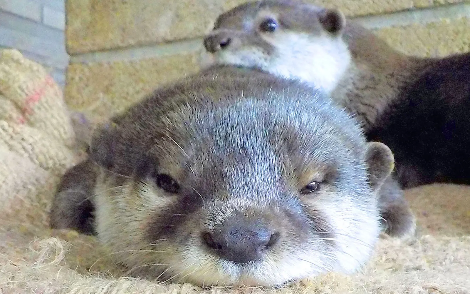 越前松島水族館_02.jpg