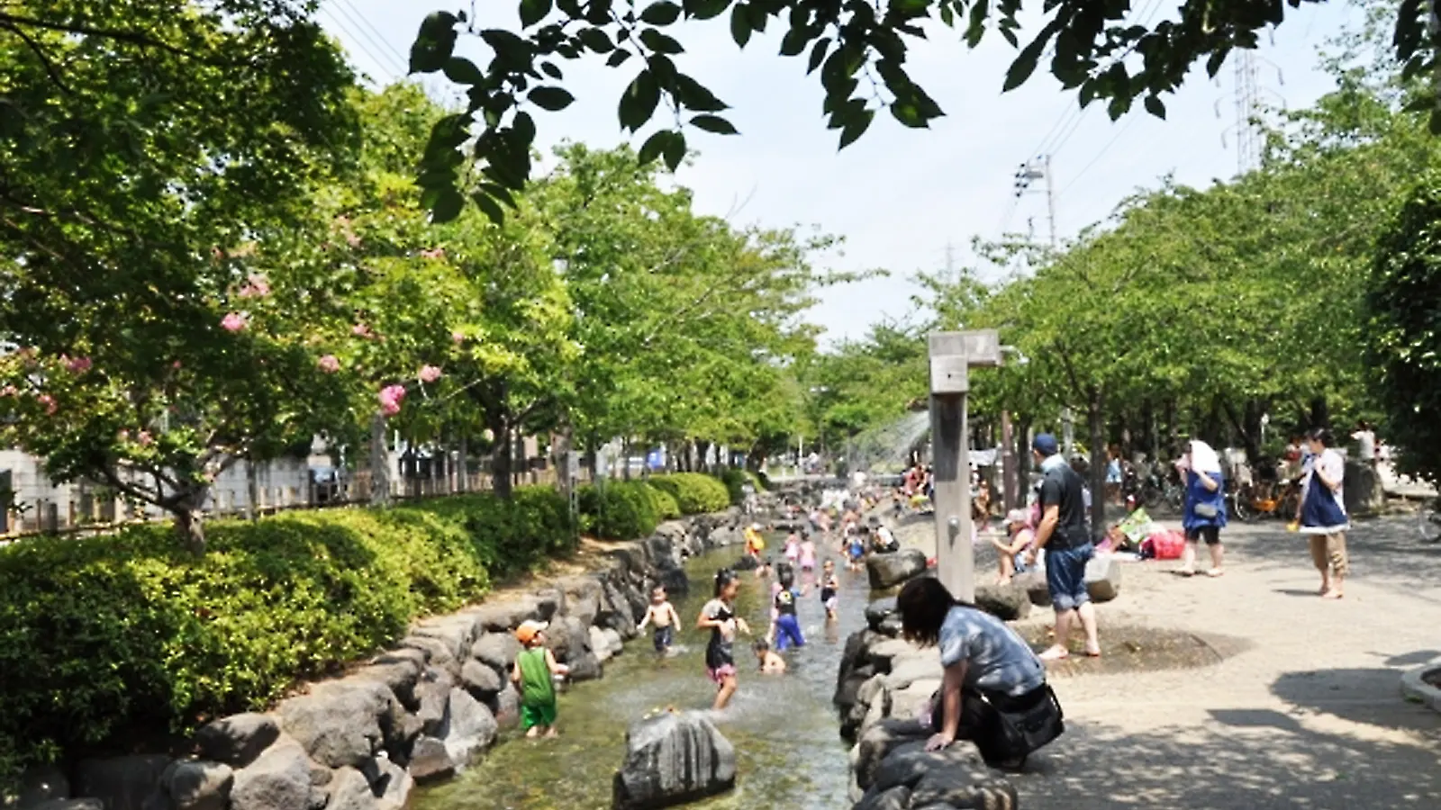 一之江境川親水公園_Photo by 江戸川区.jpg